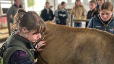 Pa. high school students dive into veterinary careers