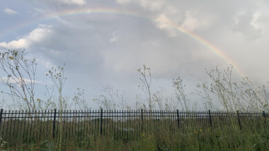 A Gift From Vermont Cemetery Preserve — Monday, August 18, 2025