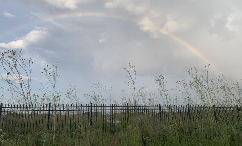 A Gift From Vermont Cemetery Preserve — Monday, August 18, 2025