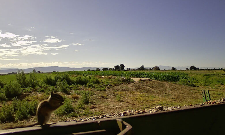 SOMEONE IS COMING!!!! —- Thursday, August 28, 2025