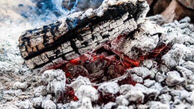 How to Make Wood Ash Fertilizer: 16 DIY Natural and Organic Recipes for Houseplants