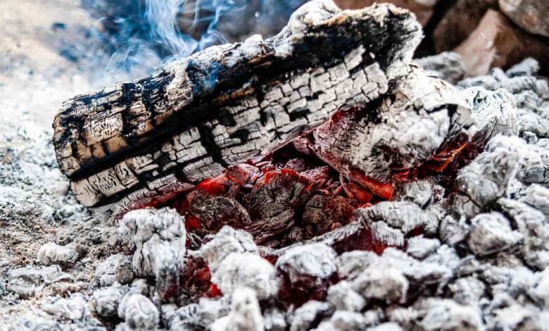 How to Make Wood Ash Fertilizer: 16 DIY Natural and Organic Recipes for Houseplants How to Make Wood Ash Fertilizer: 16 DIY Natural and Organic Recipes for Houseplants