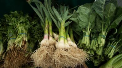 Cross Post: Impacts of Budget Reconciliation and Colorado Farms: Hurt for Farmers and Farm Communities, and the Need for a New Farm Bill