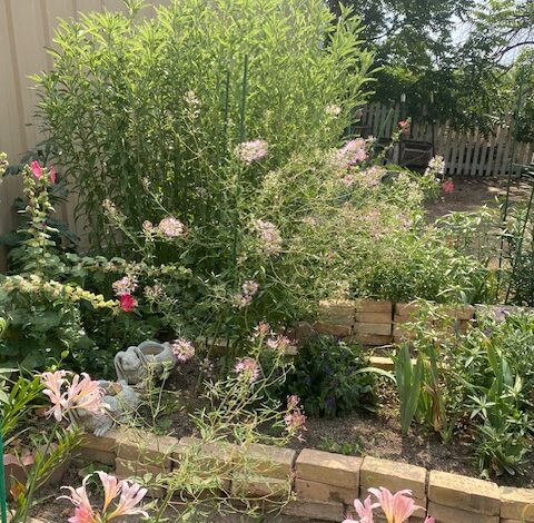 Some Times It is the Ordinary — Thursday, August 21, 2025