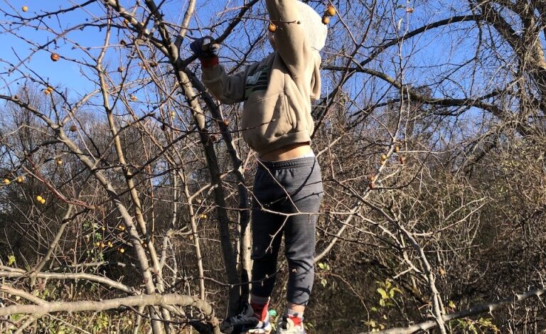 Reminiscing: Pizza Hut | Curiousfarmer