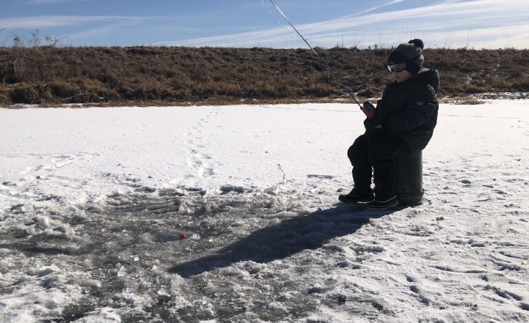Stockman Grass Farmer Podcast | Curiousfarmer