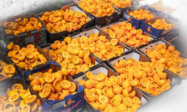 How to Make Homemade Citrus Peel Fertilizer: 15 DIY Natural and Organic Recipes for Houseplants