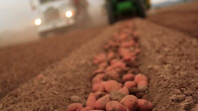 Seed Act proposals mean quicker changes, more industry input Seed Act proposals mean quicker changes, more industry input