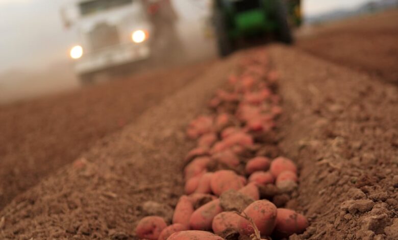 Seed Act proposals mean quicker changes, more industry input