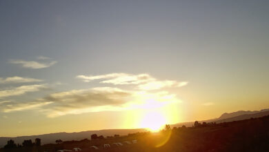 The Adventures of Boo Berry Betty and TLC Cai-Cai on Friday—- HEAT! HOT!! PANT! PANT! —- Friday, August 22, 2025