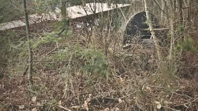 And the Wheel Goes Round and Round