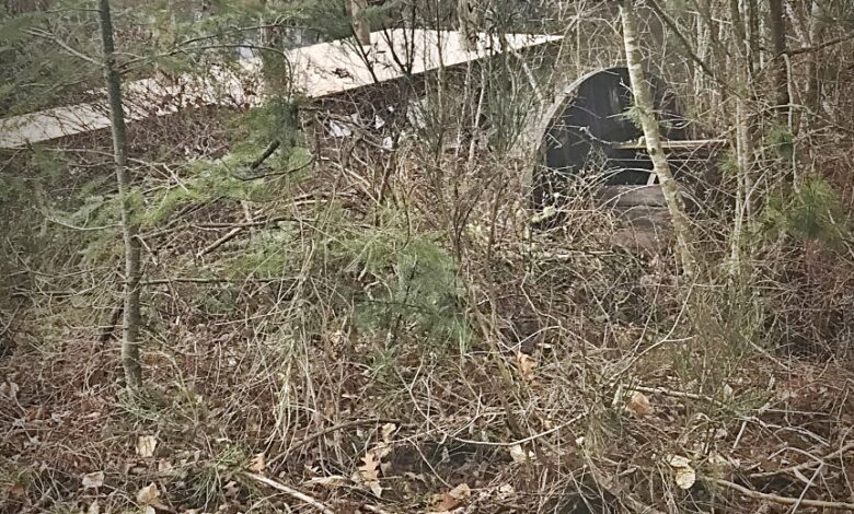 And the Wheel Goes Round and Round